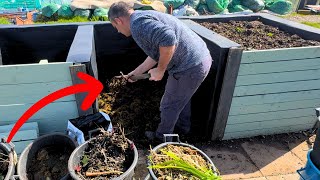 A day in the life of a compost and manure man
