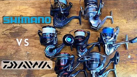 Shimano or Daiwa Fishing Reels? My Honest Personal Opinions After Using These Reels
