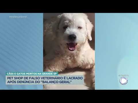 Xerife do Consumidor – Após denúncia do Balanço Geral, pet shop de falso veterinário é interditado