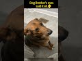 Lt seemed to understand. #dog