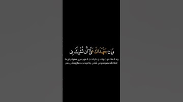 #تلاوة_خاشعة #ياسر_الدوسري #سورة_ لقمان #ماشاءالله #القرآن_الكريم 🎧🤍
