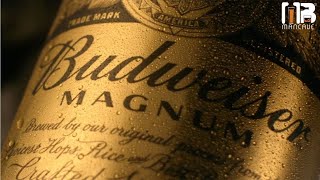 Budweiser Magnum Beer Review in Hindi | #BeerThursday
