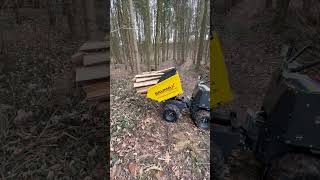 𝗠𝗼𝗱𝗲𝗿𝗻𝗲𝗿 𝗠𝗮𝘁𝗲𝗿𝗶𝗮𝗹𝘁𝗿𝗮𝗻𝘀𝗽𝗼𝗿𝘁 💪 #elektrodumper #wald #forst #holzmachen #holzarbeiten #holztransport