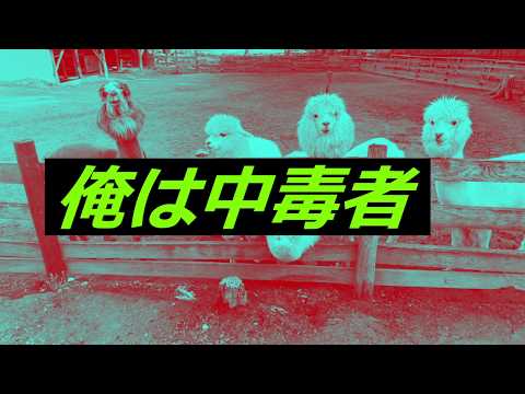 【初音ミク】中毒者