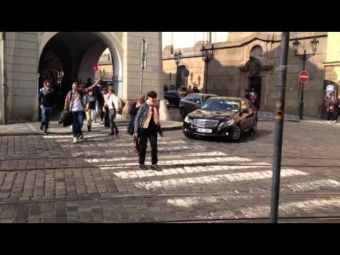 ზებრასთან მოძრაობის წესები