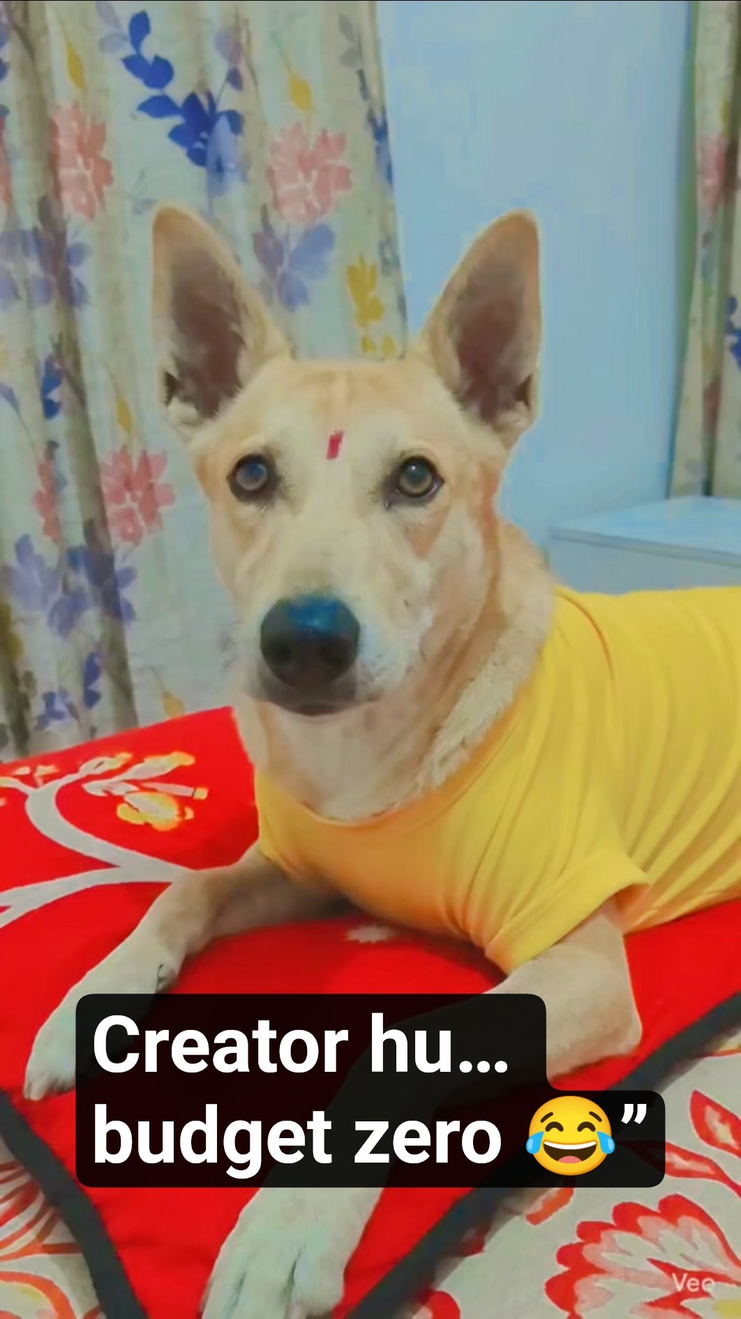 😁फनी वीडियो📽 - ShareChat