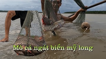 mò hang cá ngát bắt hang cá  ngát dưới biển Mỹ Long/Tuấn Vũ TV