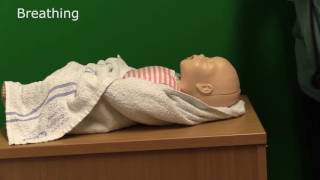 Neonatal Resuscitation  Demonstration