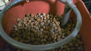 Water Farm for Weed!