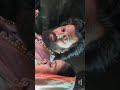 raja shivaji #riteshdeshmukh #shivajimaharaj #love #marathisong