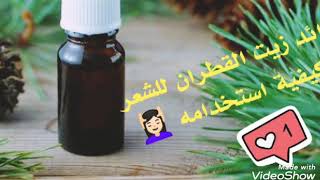 فوائد زيت القطران للشعر ⁦‍️⁩ وكيفية استخدامه 