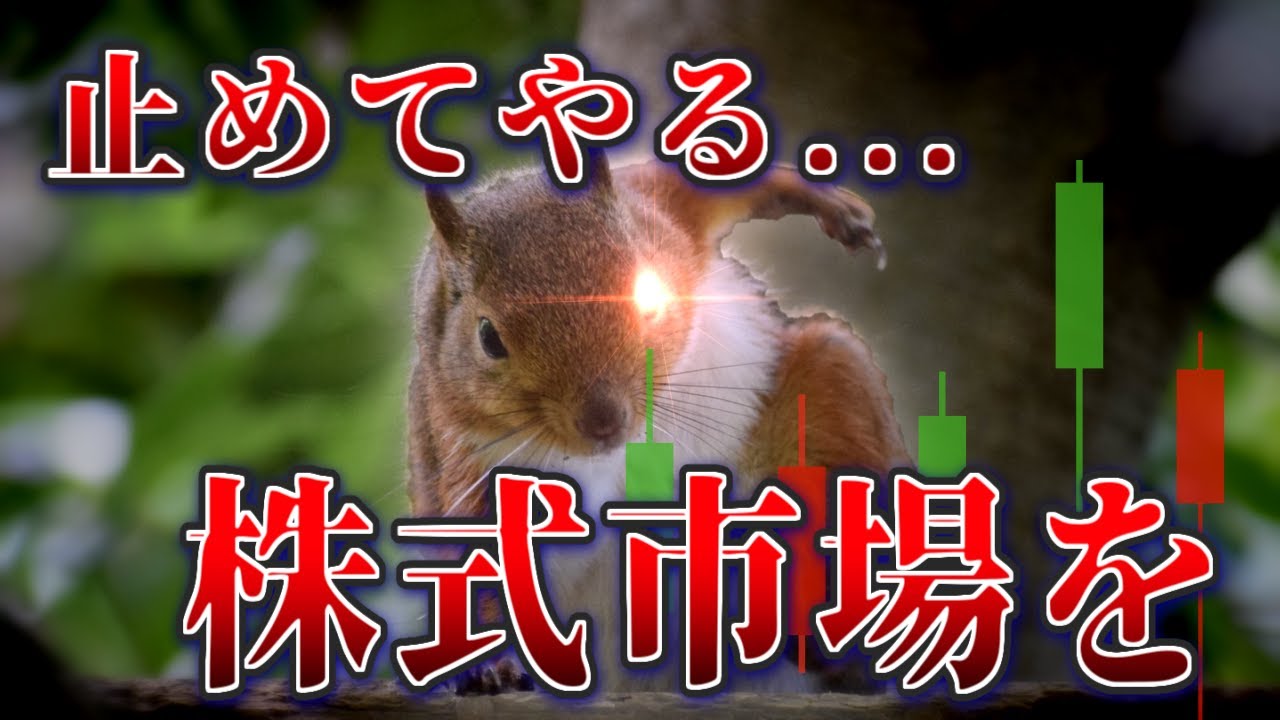 力業で株式市場を恐怖に陥れたリス等 過去の動物ニュース4選