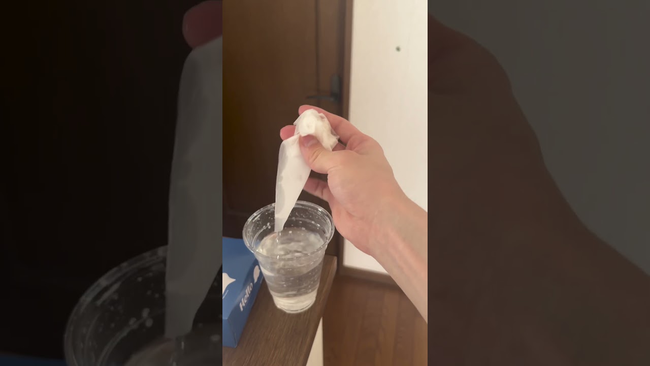 カメムシを水とティッシュで退治できて涙が止まらない