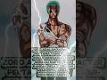 Roronoa Zoro #zoro #onepiece #roronoazoro #onepieceanime #anime #zoroonepiece