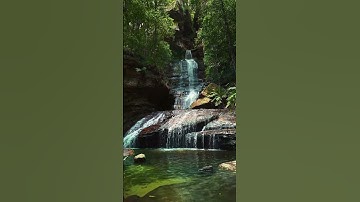 Relaxing Zen Music with Nature Sounds for Meditation, Spa, Sleep & Relaxation