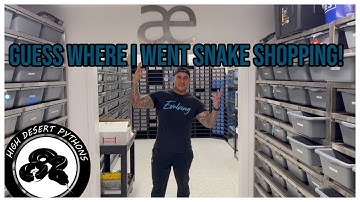 I Went Snake shopping at @AlwaysEvolvingPythons  | High Desert Pythons
