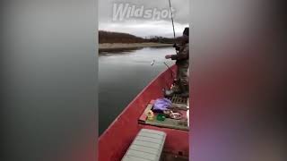 Приколы про рыбалку #1