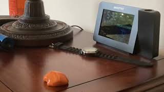 Silly Putty on a Timelapse