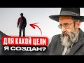 Для какой цели я создан? Рав Ашер Кушнир