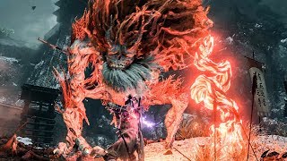 Sekiro - Demon of Hatred Fastest (No Damage) screenshot 3