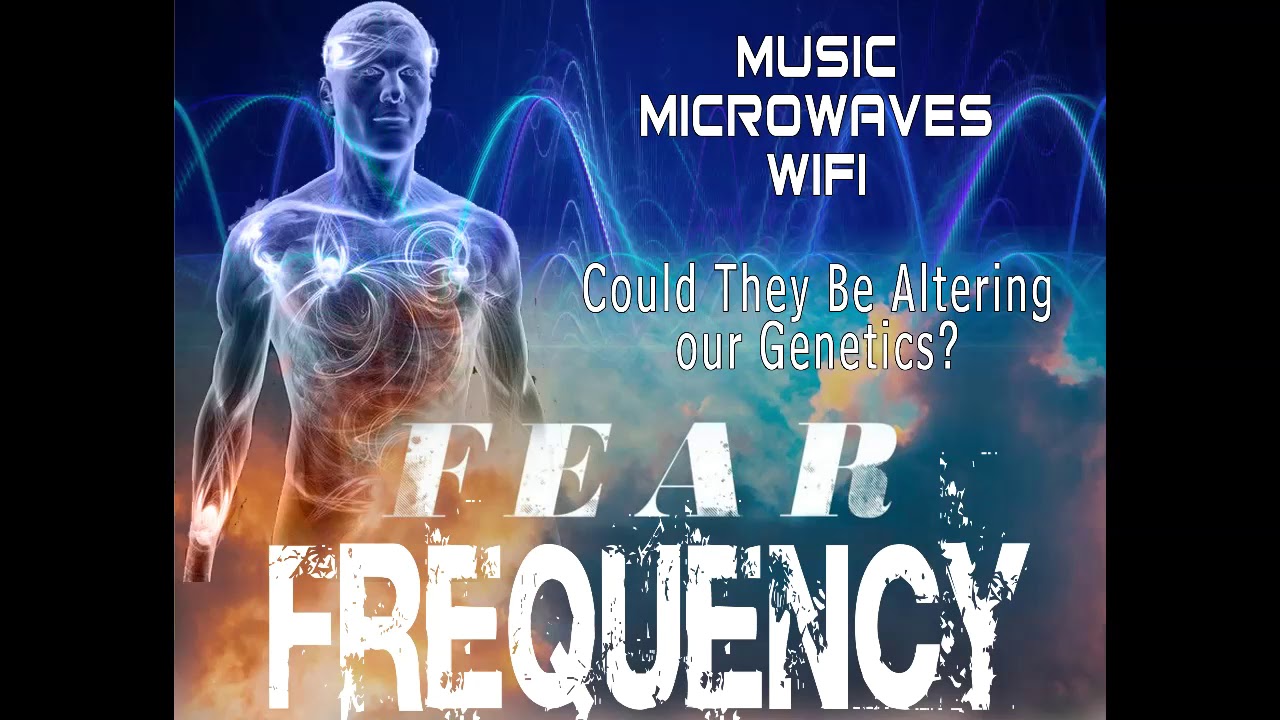 Fear Frequency YouTube
