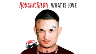 MORGENSTHERN - WHAT IS LOVE | ВАТ ИС ЛОВ | НА РУССКОМ (Mashup By ПРИТОРНЫЙ СУСЛИК)