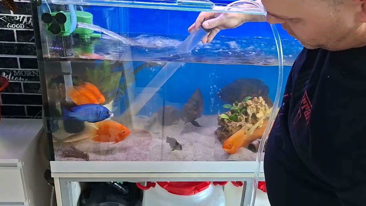 Сифонить ли кварцевый песок ? 