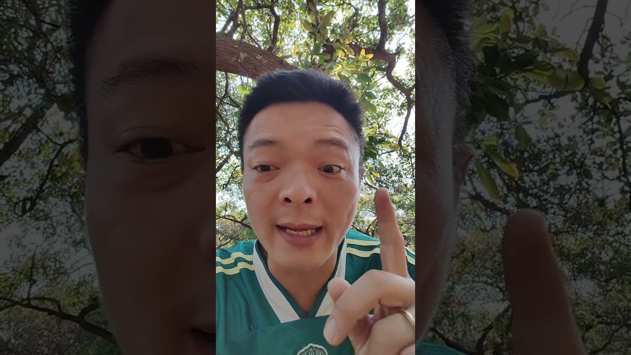 Phần 1: Mới thuê Vườn Điều chưa Bón Phân thì nên chăm sóc như thế nào để Đạt Năng Suất Cao.