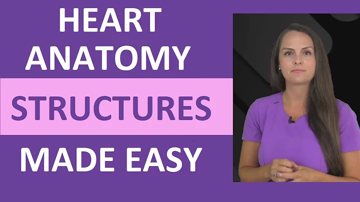 Heart Anatomy: Chambers, Valves, & Structures Nursing Review