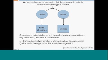 Jason Stein: Imaging Genetics Webinar