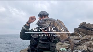 Costa da Morte, Lubinas y Sargos | Galicia Expedition.