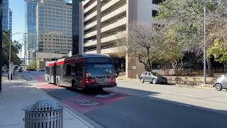 Capital Metro Nova Bus LFX Artic on the 801 METRORapid North Lamar/S. Congress screenshot 4