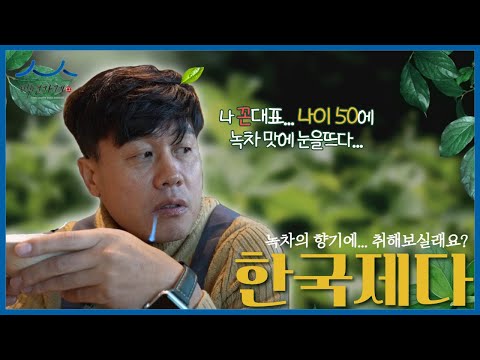 [백년가게] 70년간 한국의 차를 연구해온 한국제다