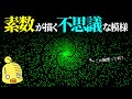 素数が描く美しい螺旋～数学の難問