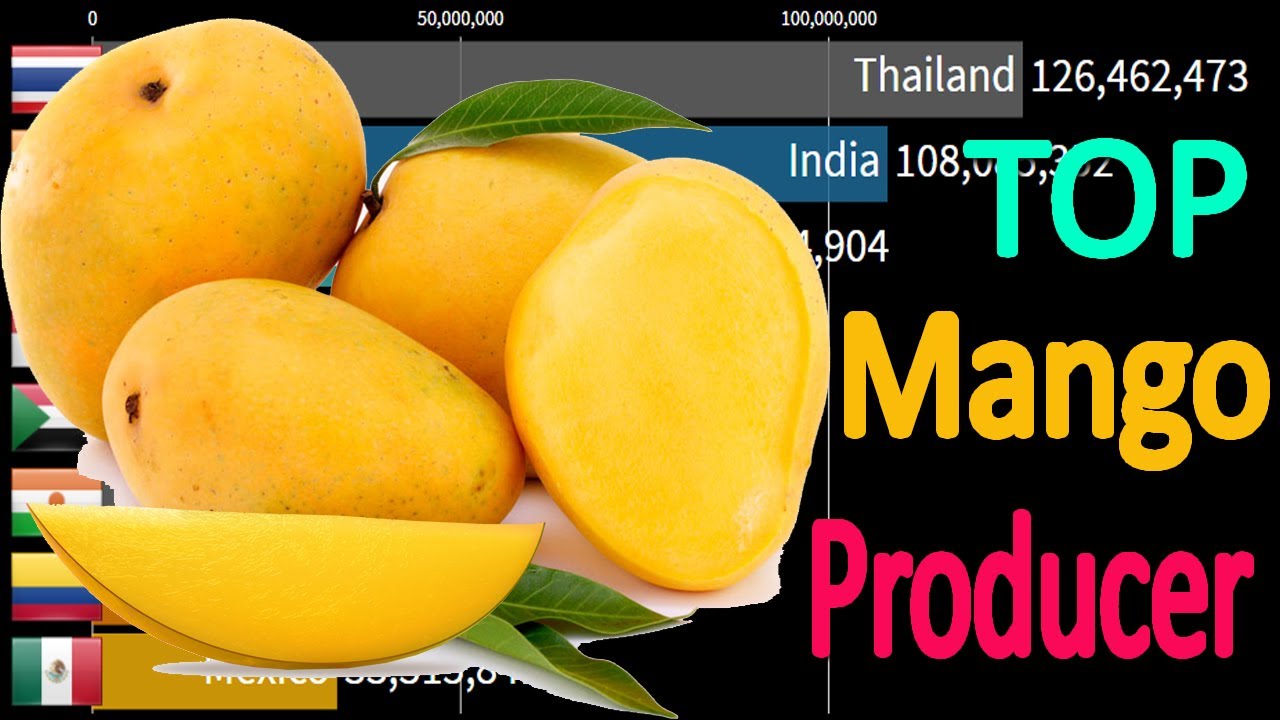 Top Largest Mango Producer Countries 1963 2020 YouTube top-largest-mango-producer-countries-1963-2020-youtube