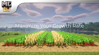 Minecraft Crop Farming Guide - How to Make Crops Grow Fast