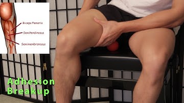 Adhesions & myofascial release on hamstrings