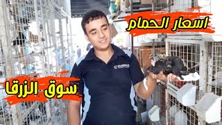 اسعار الحمام في سوق الزرقا حمام ببلاش تعال وشوف