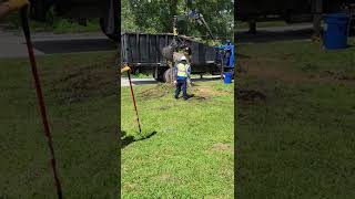 Hillsborough County tree removal part 2