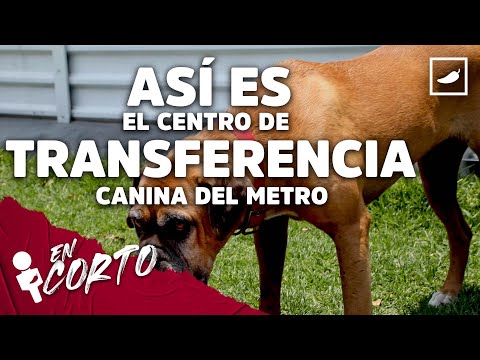 Así es el Centro de Transferencia Canina (CTC) del Metro