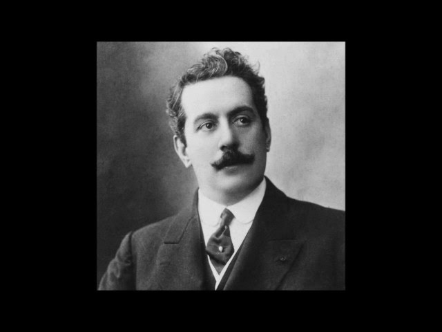Puccini - O Mio Babbino Caro