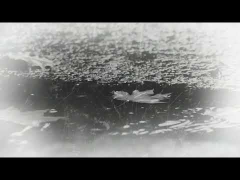https://www.youtube.com/embed/0WlefB5O4Do?rel=0
