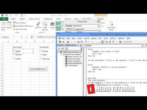 Microsoft Excel Visual