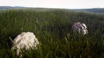 Dynamic Grass Shader (Unreal Engine 4)