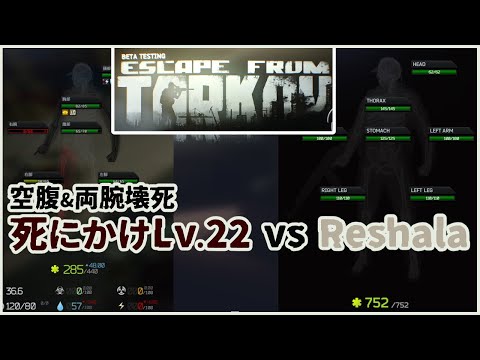 【EFT】空腹＆両腕壊死の極限状態　はじめてScavBossを倒した22歳（Customs/Reshala）【Escape from Tarkov】