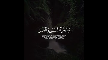 ألم تر أن الله يولج الليل في النهار ويولج النهار في الليل وسخر الشمس والقمر | القارئ صالح الأنصاري