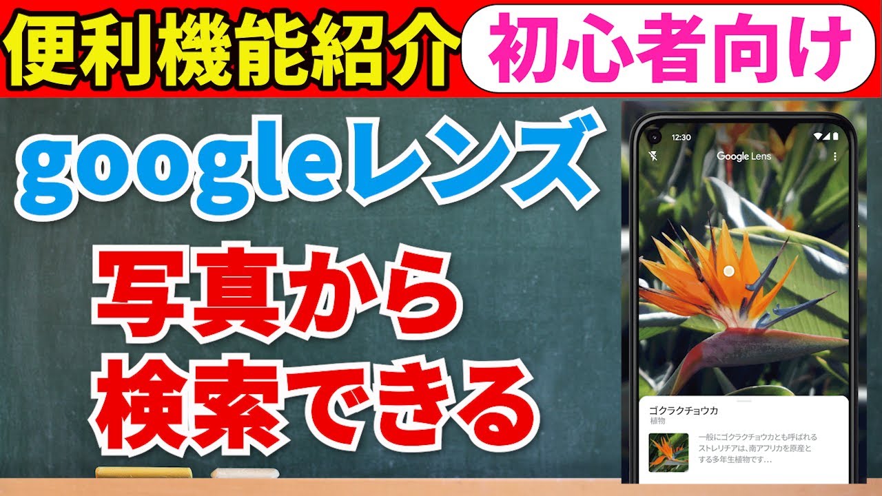 花の名前を調べる 超簡単 グーグルレンズを使ってみよう カメラで撮影しておけばいつでもできる Youtube