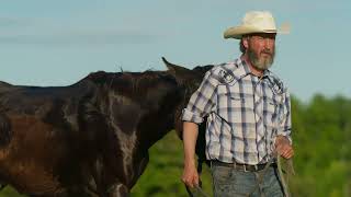 Trailer - This Is The Tom Green Documentary - Premieres Jan 24 on Prime Video