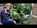 How to create layered bulb pots with plants on top/Garden Style nw