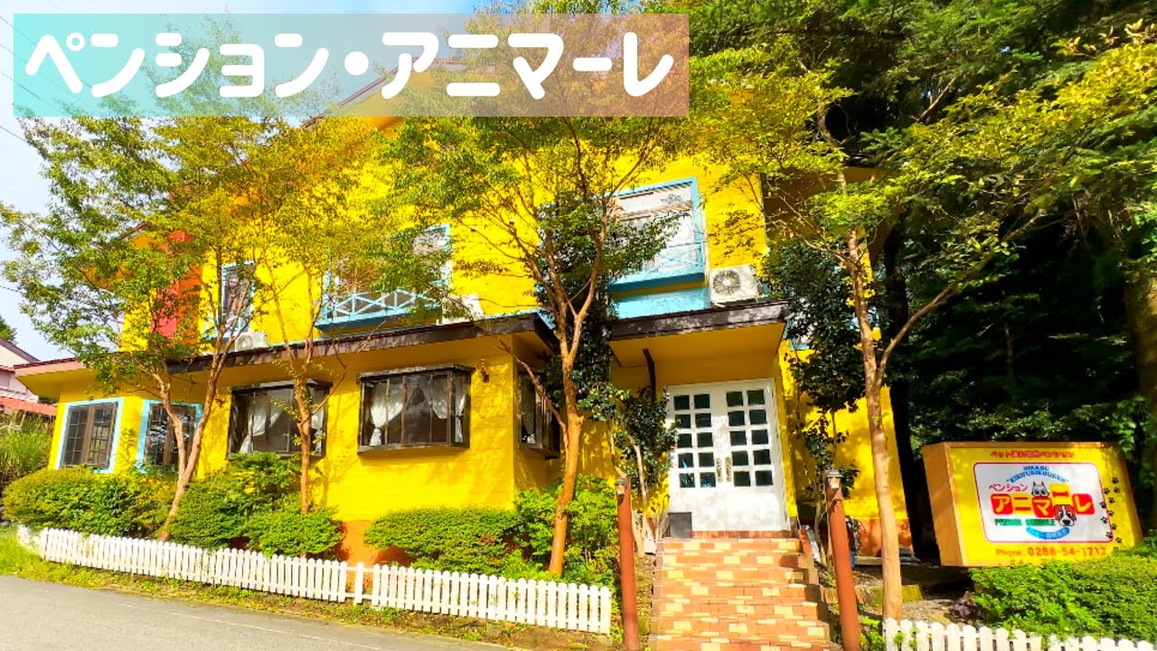 【1泊2食付き1人1万円！】ペンション・アニマーレ